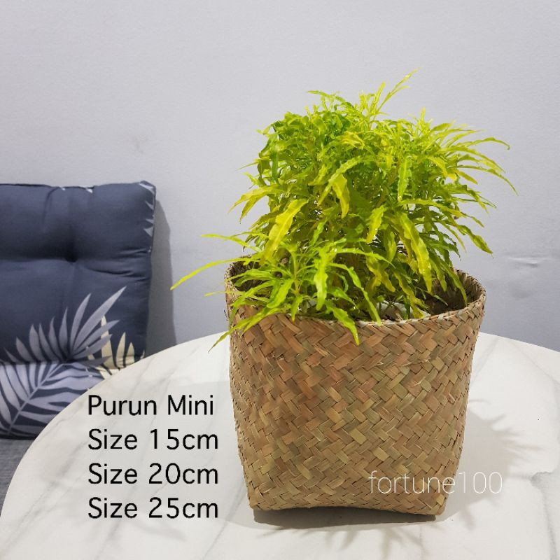 Keranjang Anyaman Purun Mini / Cover Pot Kekinian / Vas Bunga / Basket Purun E03