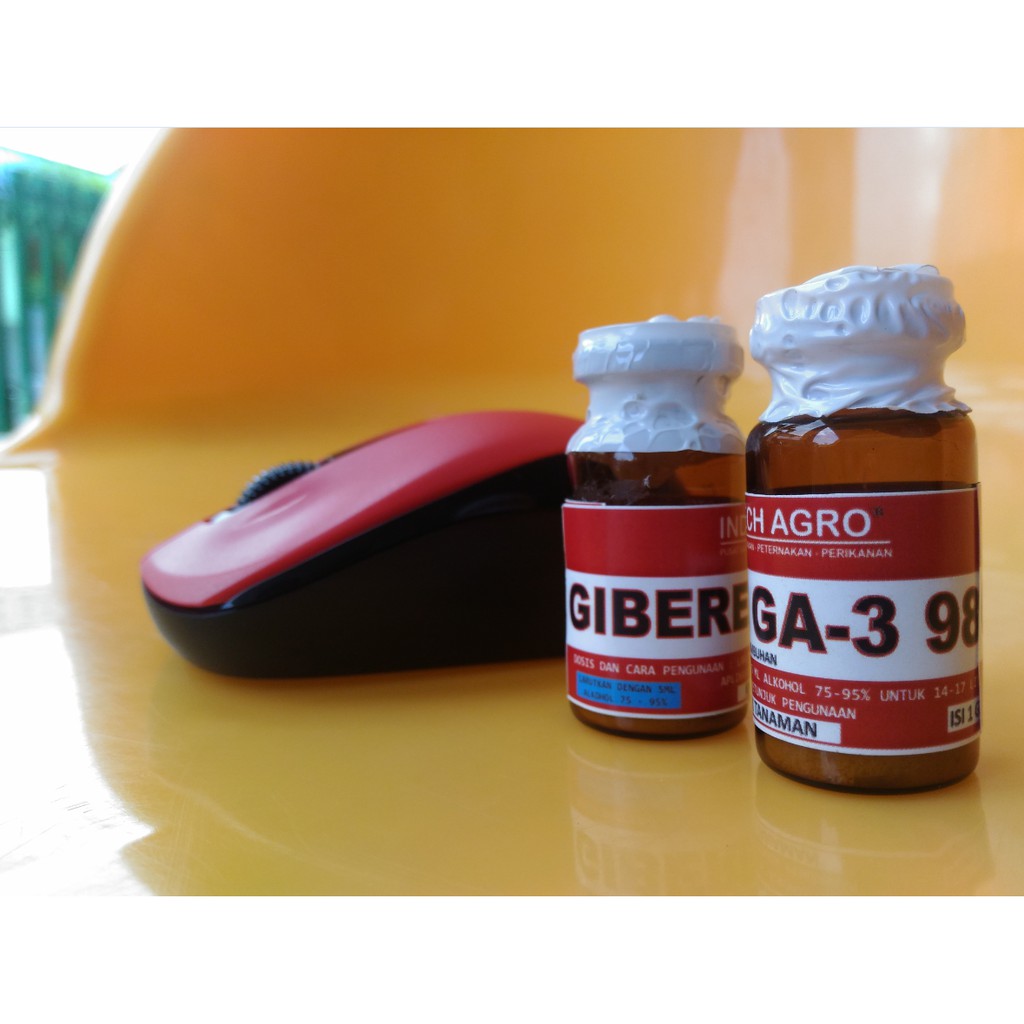 Giberelin GA-3 Powder/Murni 1gr