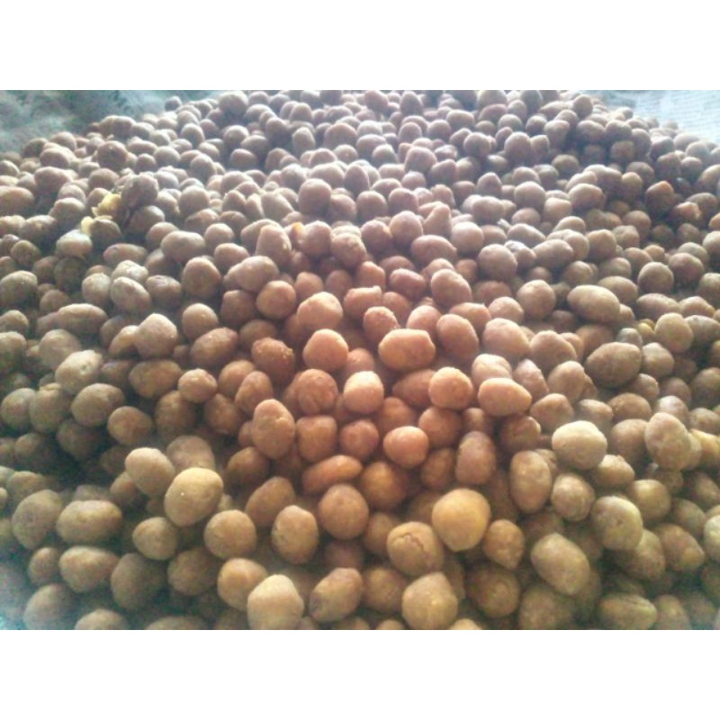 

kacang telur 250g