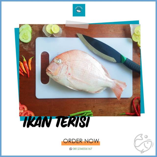 

Ikan Terisi