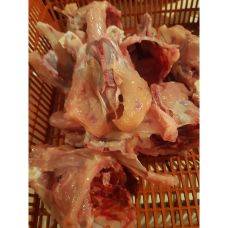 

Tulangan Ayam Boiler