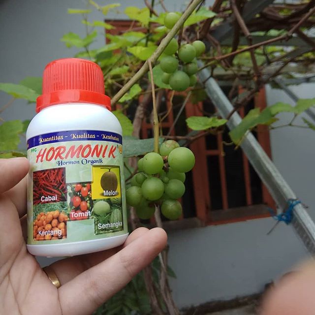 COD Hormonik Nasa / Pupuk Nasa / Pupuk Organik Cair / Pupuk Organik / HORMON ORGANIK / HORMONIK NASA