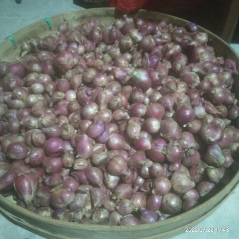 

BAWANG MERAH