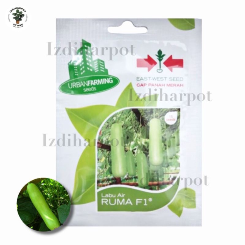 benih bibit labu air ruma f1 cap panah merah - LABU AIR RUMA F1