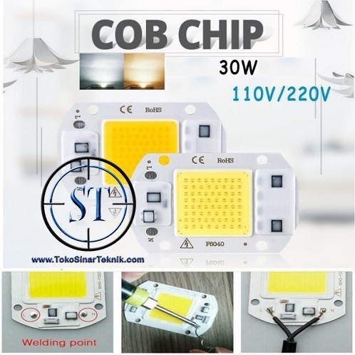 LED COB 30W Langsung Input AC 220v Lampu Sorot Lapangan Tanpa Driver Listrik 30 Watt Putih Warm White kuning