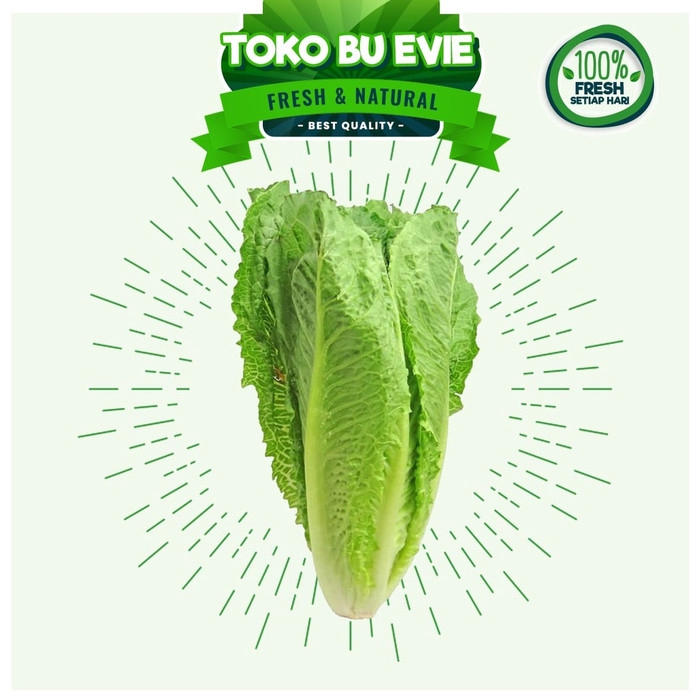 

PREMIUM Romaine 100% Fresh dan Halal, Sayur Segar Buah Segar
