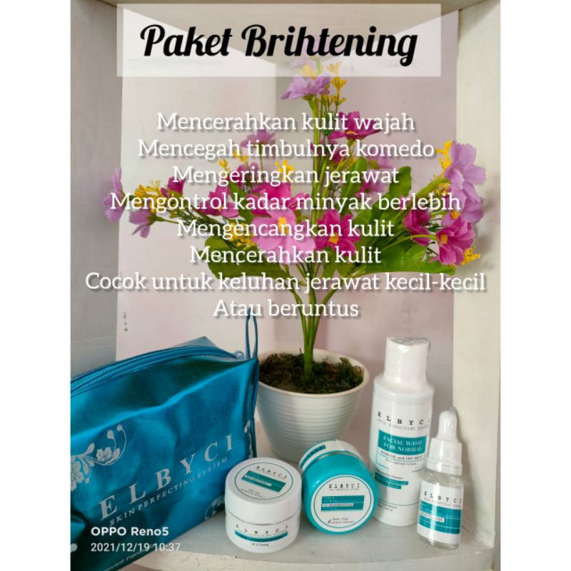 Paket Brithgening Elbyci