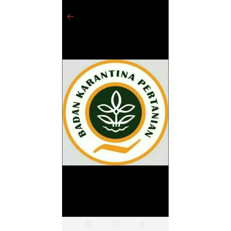 

surat karantina pengiriman kalimantan. batam