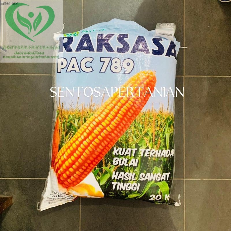 benih jagung PAC 789 RAKSASA 20gr