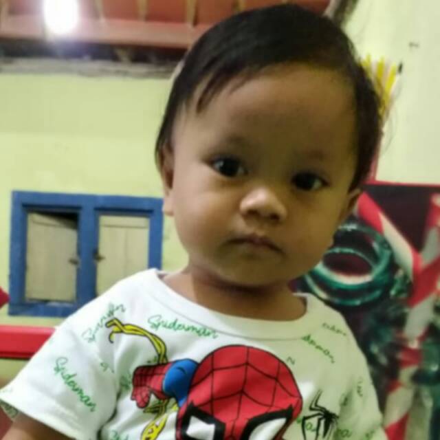 erihadisaputra085274340396