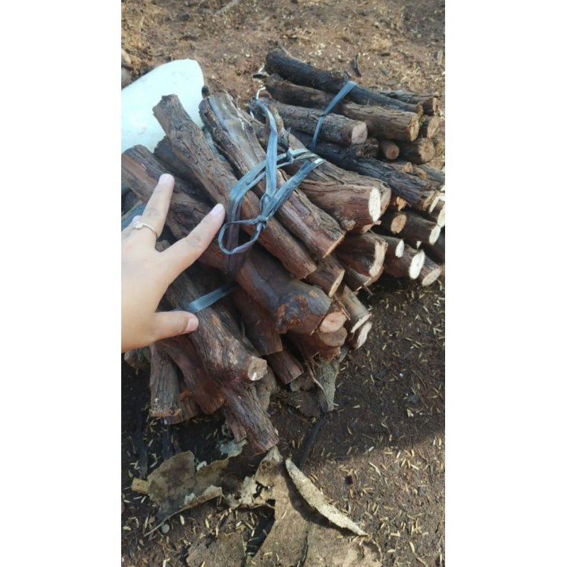 Cutting anggur  Alfonso fres berat 1kg ukuran Besar