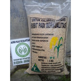 benih padi Ipb 3s
