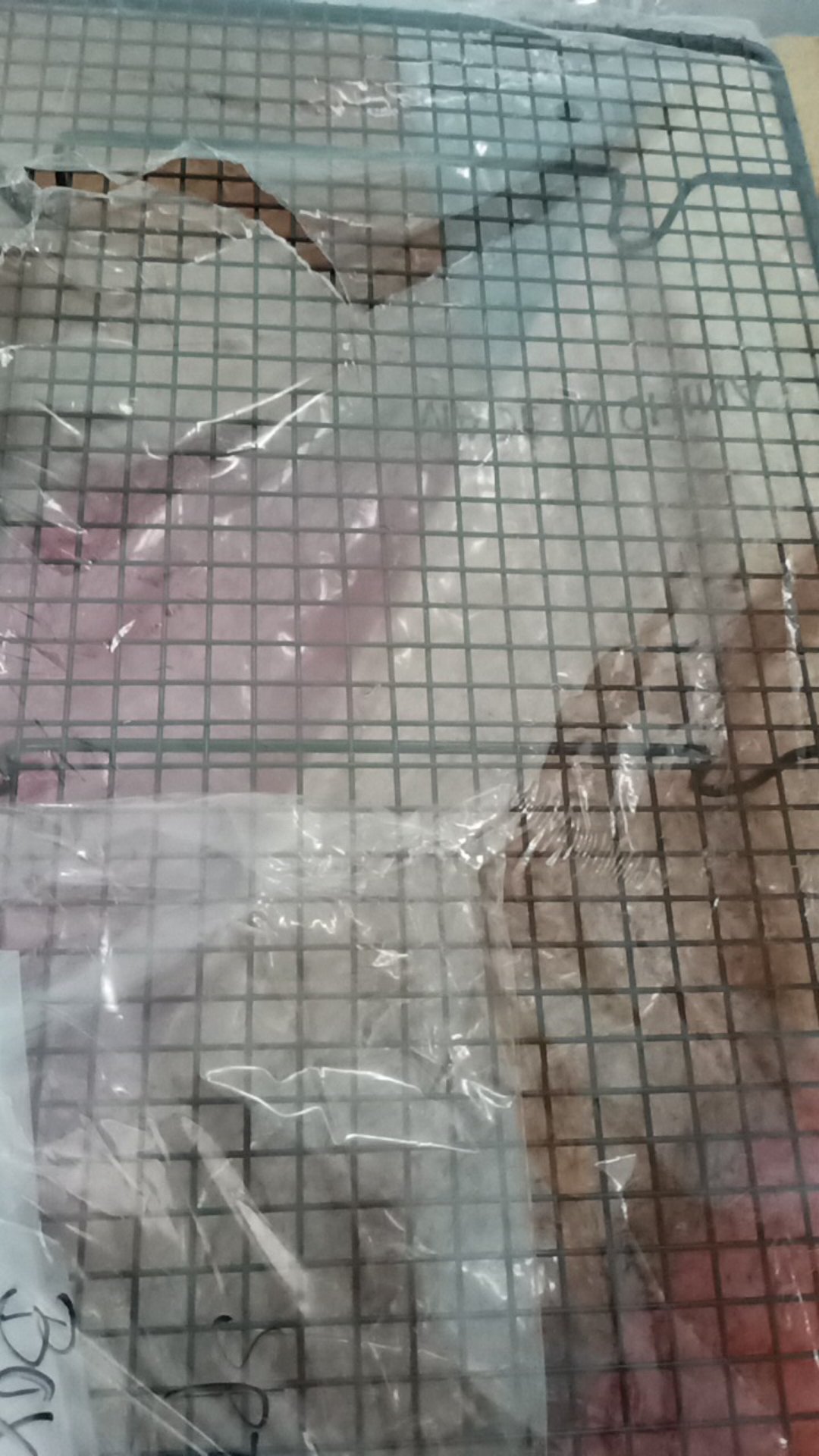 Dapurmami Cooling Rack Rak Pendingin Kue Dan Roti