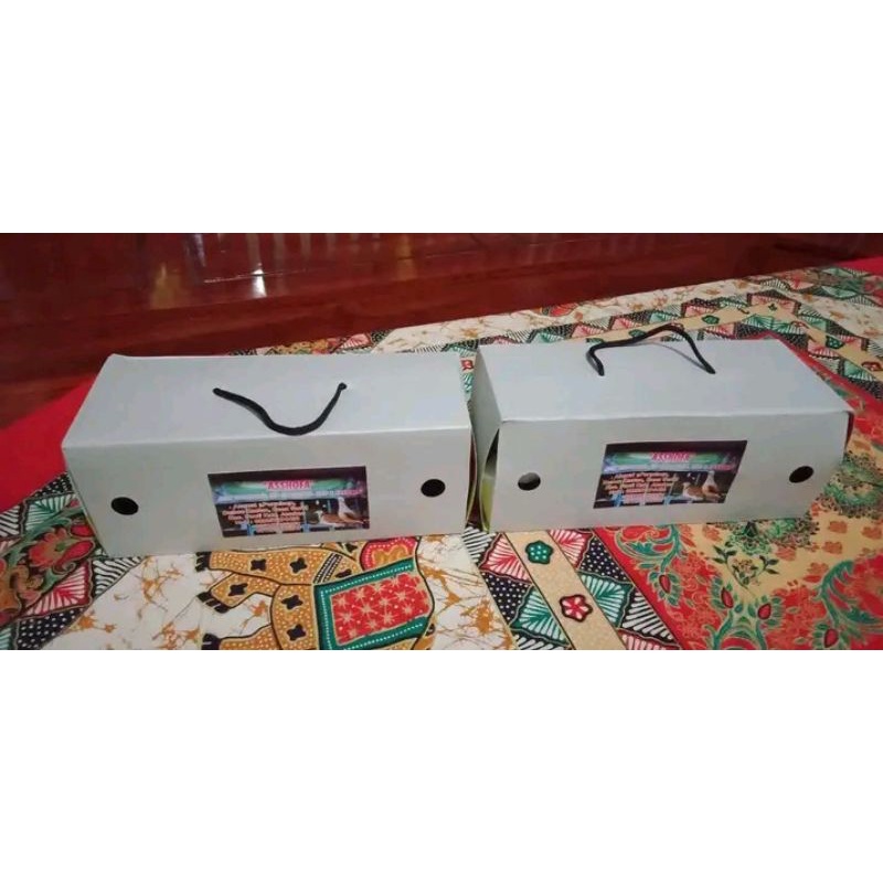 Siap ternak sepasang burung perkutut bangkok