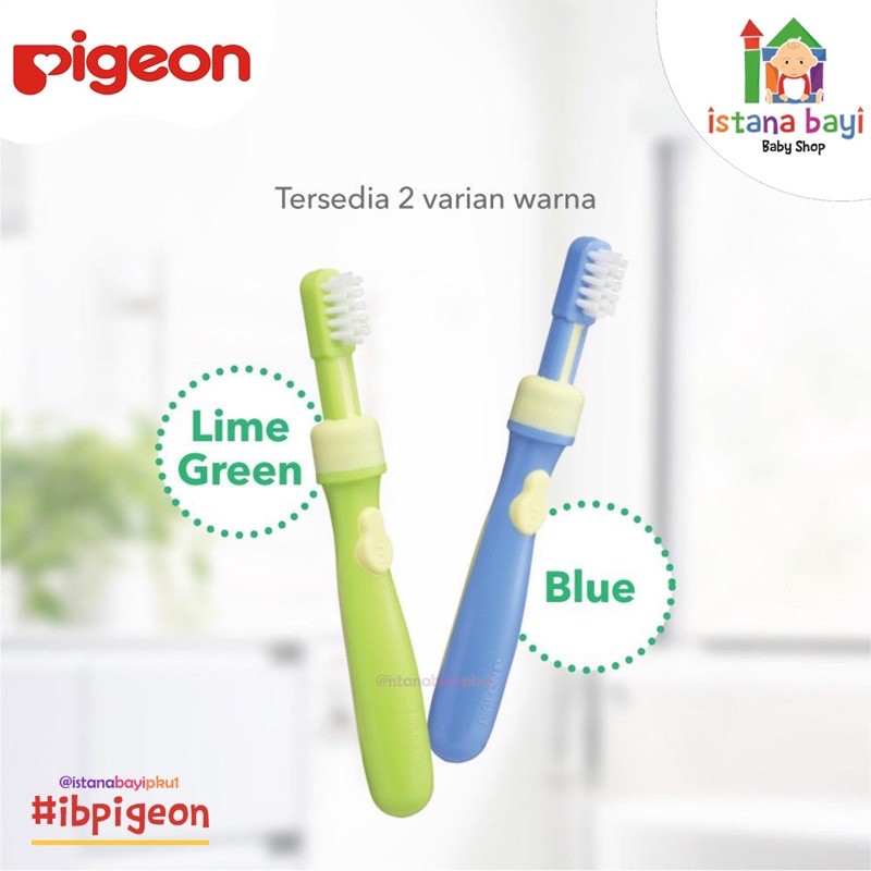 Pigeon Training Toothbrush Lesson - 3 - Sikat Gigi Bayi