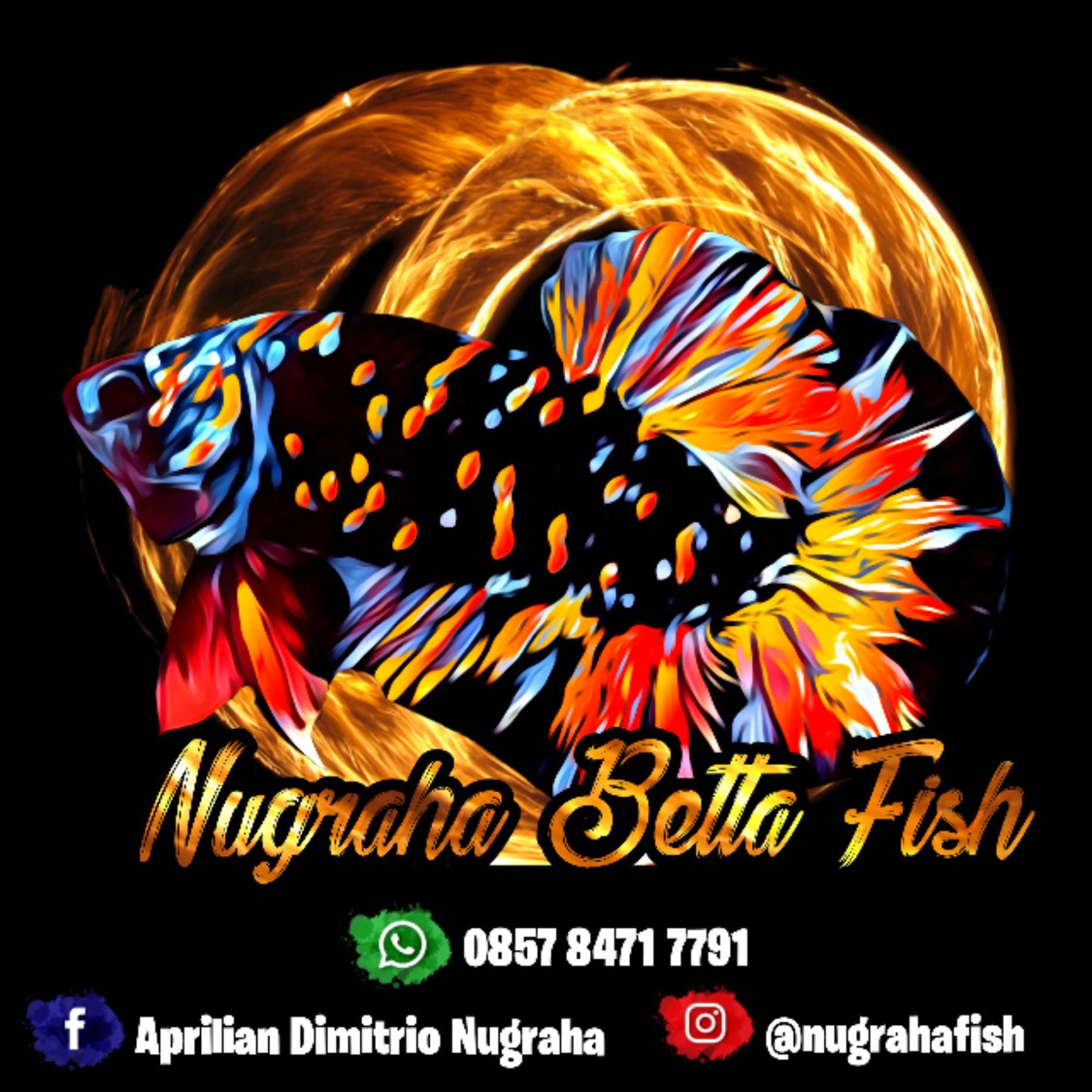 nugrahabettafishkdr