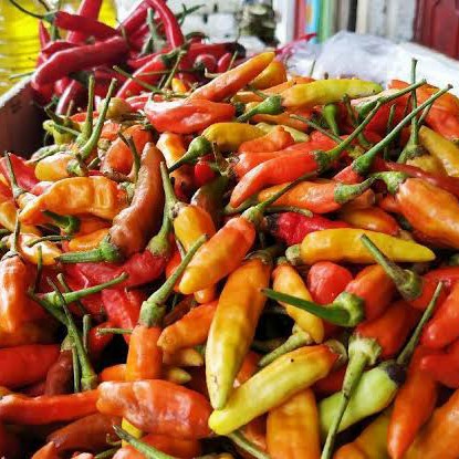 

Cabe Rawit Merah Segar - 500gr