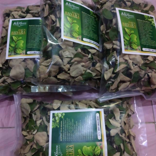 

Daun bidara kering
