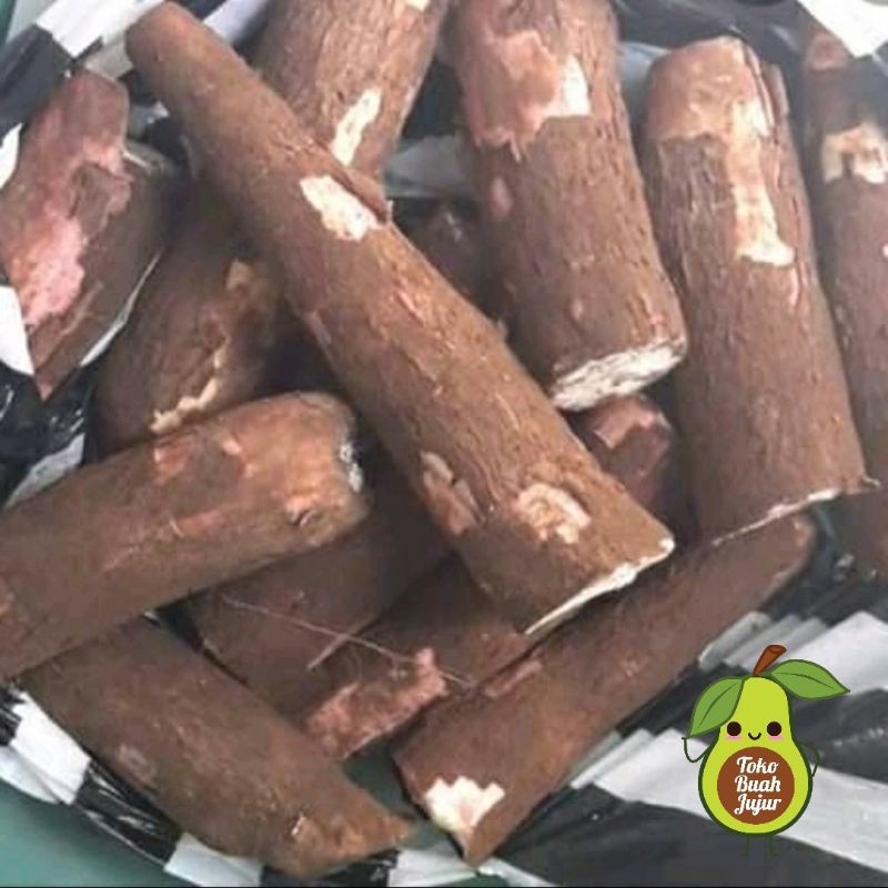 

SINGKONG / KETELA POHON FRESH