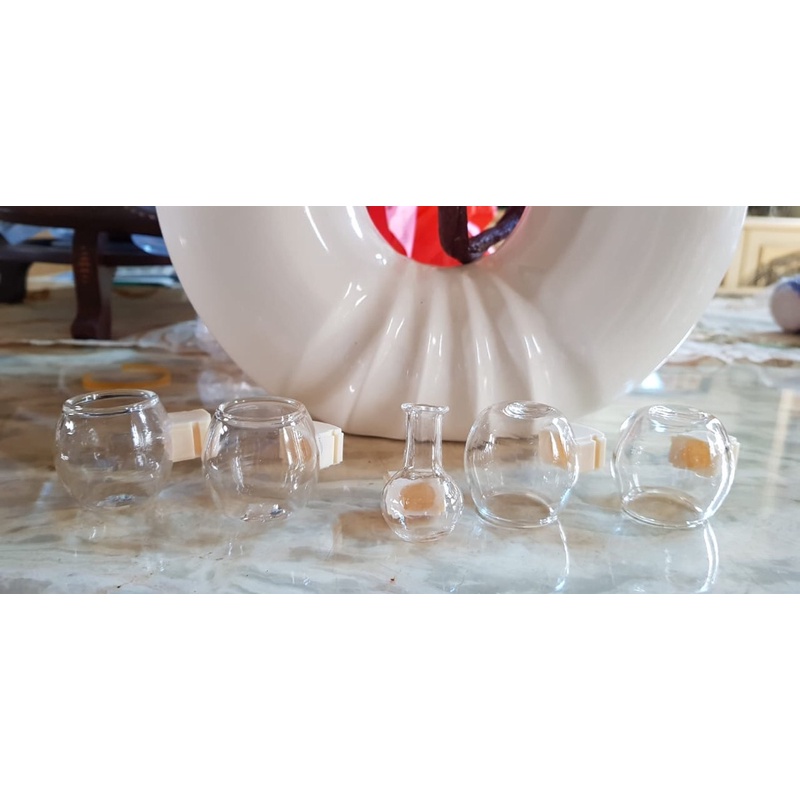 cepuk kaca tempat makanan burung kecil pleci