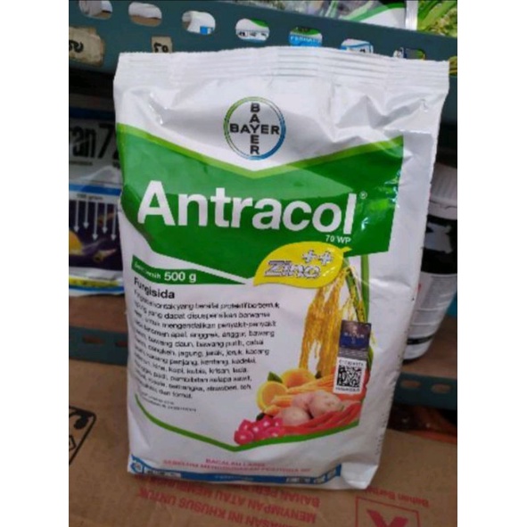 Antracol 70 WP 500 gram