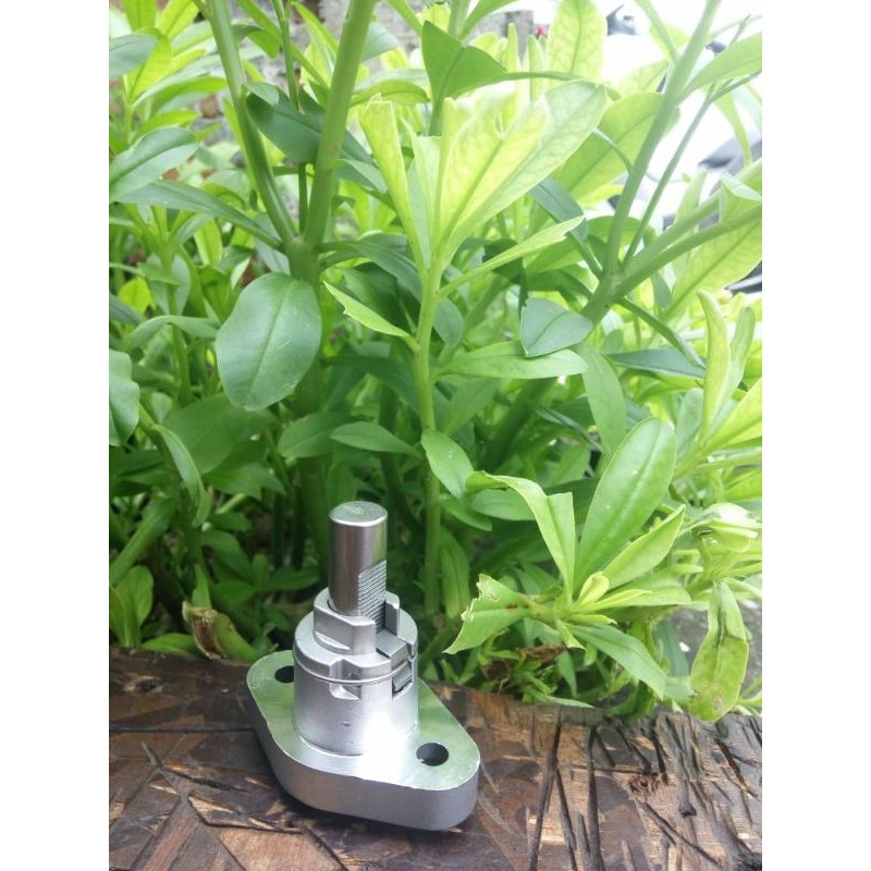 stut kamprat tiger gerigi stut kamprat racing tiger