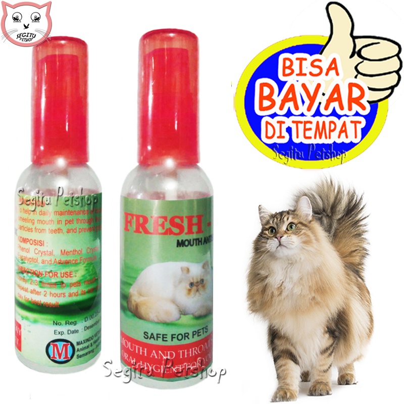 OBAT PENGHILANG BAU MULUT KUCING SARIAWAN FRESH C