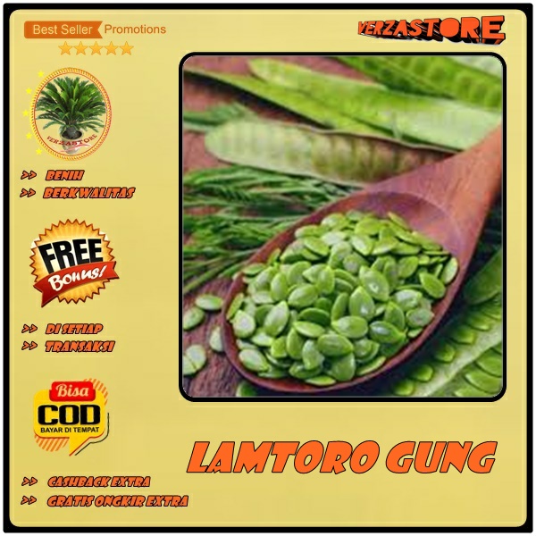biji/benih/bibit tanaman lamtoro gung /50 biji