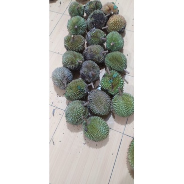 

Area Medan// Durian Parongil// Sedang// Isi 8 Biji