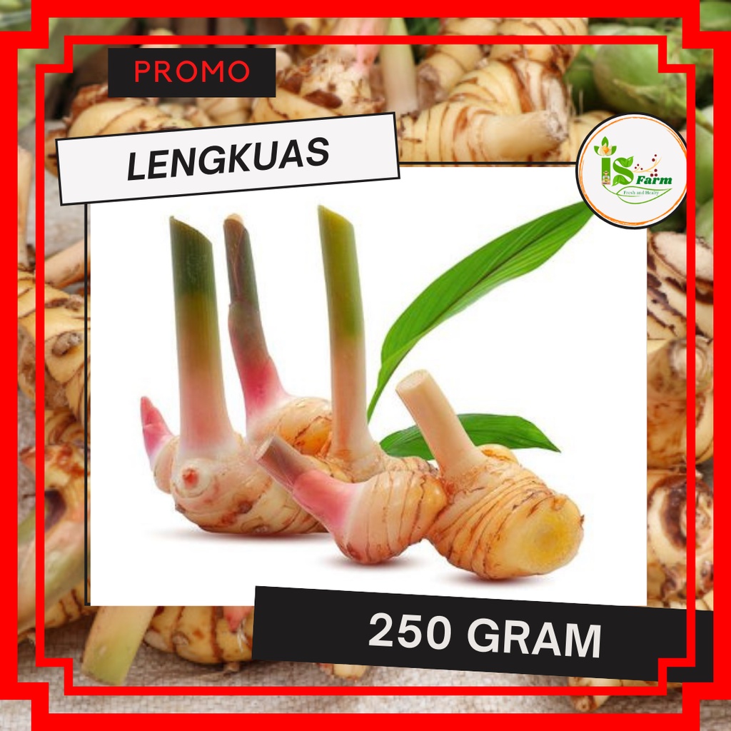 

Lengkuas 250 gram