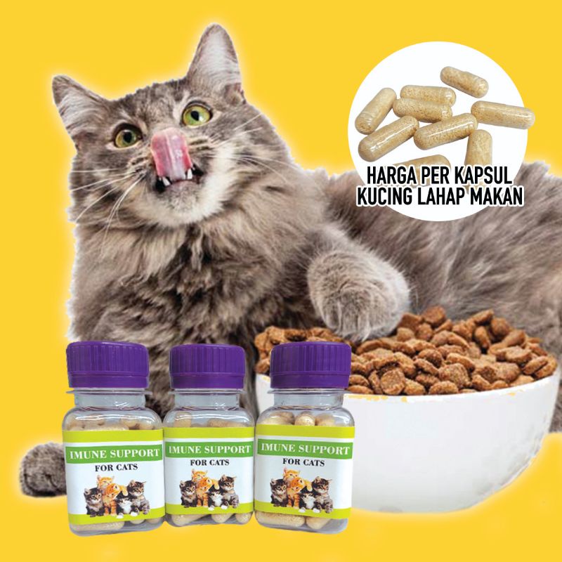 1 KAPSUL IMUNE SUPPORT - Obat Penggemuk Kucing Obat Penambah Nafsu Makan Kucing Vitamin Kucing Anti Sakit Anti Stress