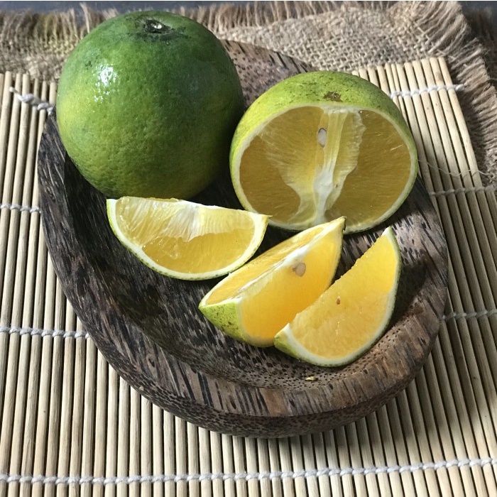 

Jeruk Baby Java - Buah Segar
