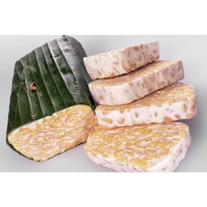 

Tempe daun panjang dan segar