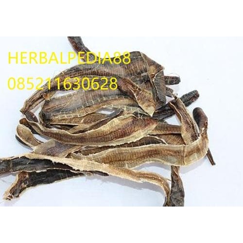 

di long 地龙 Trachycarpi Petiolus 600 gram