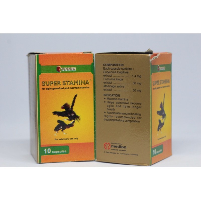 super stamina obat ayam petarung ayam aduan