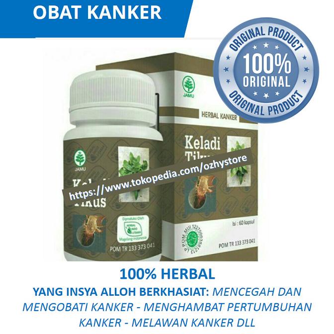 

Sale OBAT HERBAL KANKER KANGKER TUMOR PAYUDARA RAHIM SERVIKS JANTUNG MATA /OBAT HERBAL ASAM URAT/OBAT HERBAL PELANGSING/OBAT HERBAL KOLESTEROL/OBAT HERBAL DIABETES