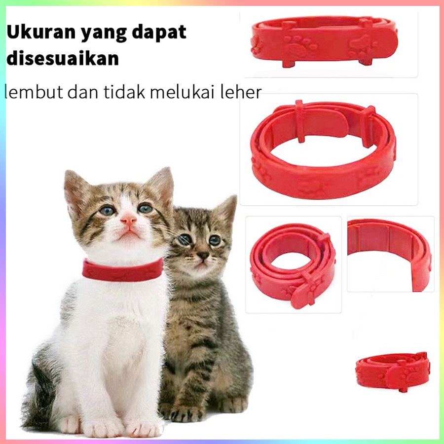 KALUNG MERAH ANTI KUTU Kucing Anjing Murah Lucu Untuk Kitten Aksesoris Bagus Keren Import Dan Nyamuk