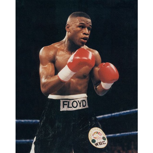 POSTER DINDING FLOYD MAYWEATHER JR. (BISA CUSTOM)
