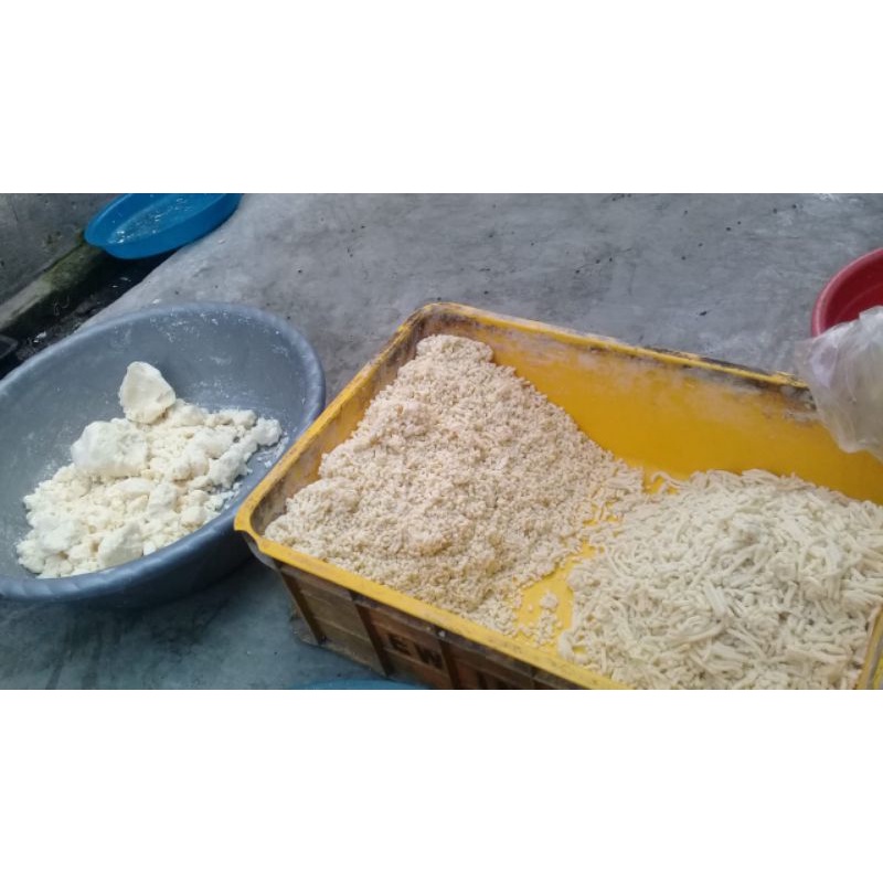 keju basi umpan Galatama lele ukuran 500gram