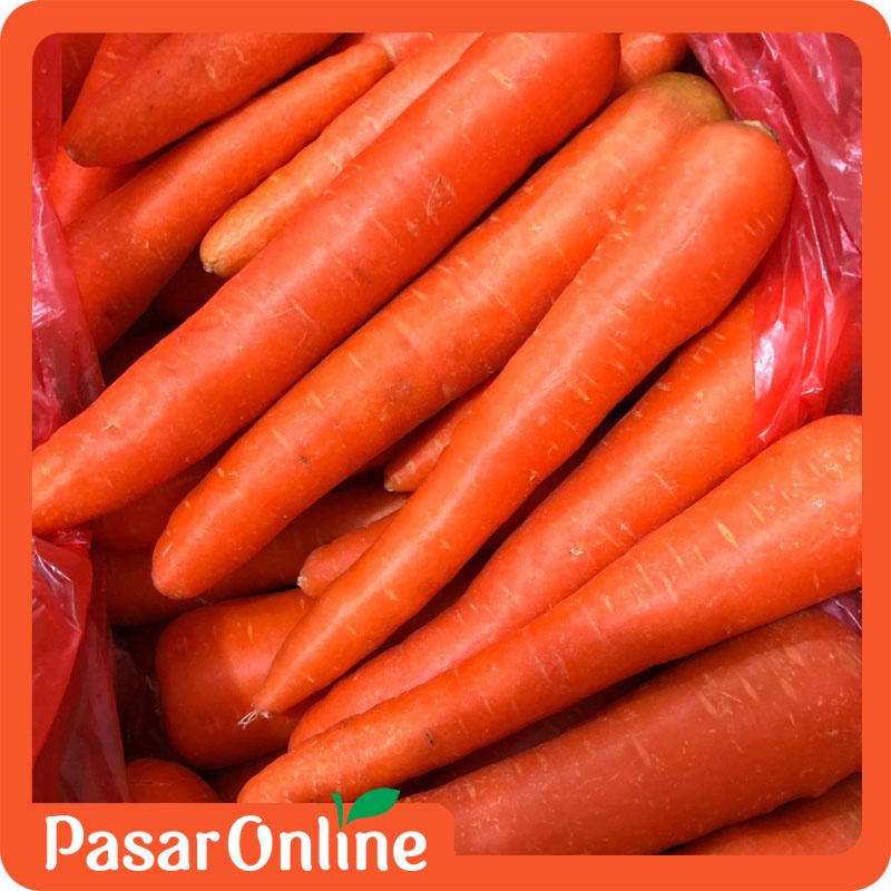 

Wortel Kualitas Export