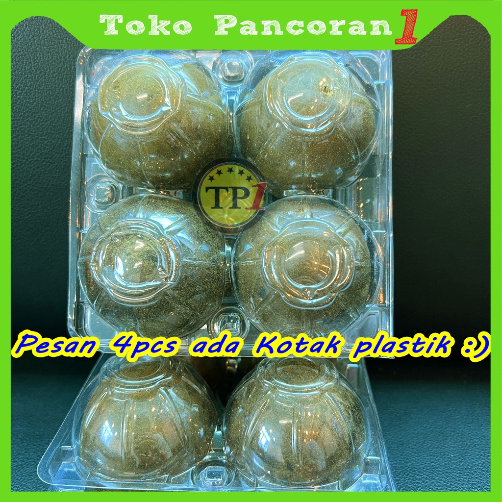 buah Lohankuo Jumbo Besar/monk fruit / luo han kuo untuk panas dalam/Luohankuo Bulat Biji