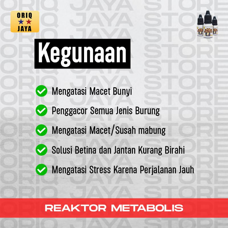 REAKTOR METABOLIS ORIQ JAYA