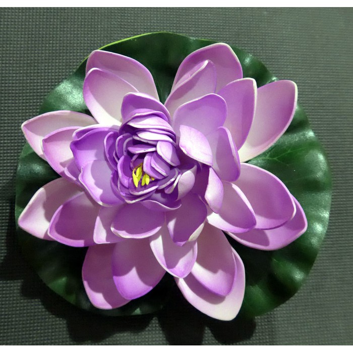 TerUpdate Hiasan Kolam Bunga Teratai Terbaru