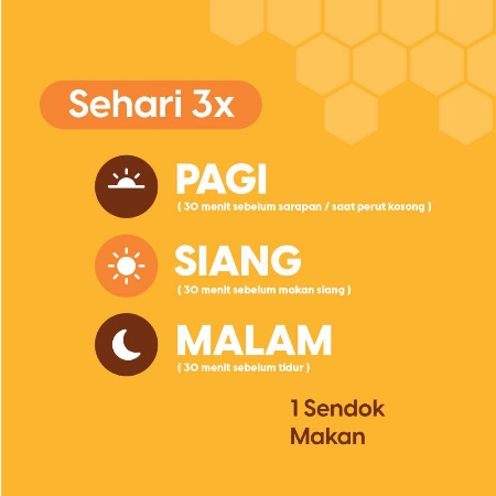 Madu Zestmag Obat Herbal Asam Lambung Magh kronis Herbal Maag BISA COD