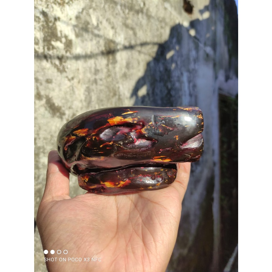 Gelang Akar Bahar Merah Jumbo BABON