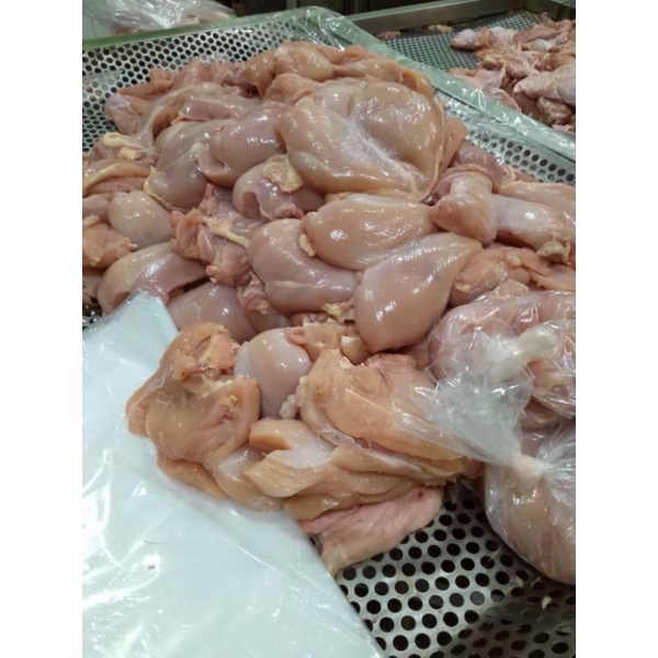 

Fillet Dada Polos FLD