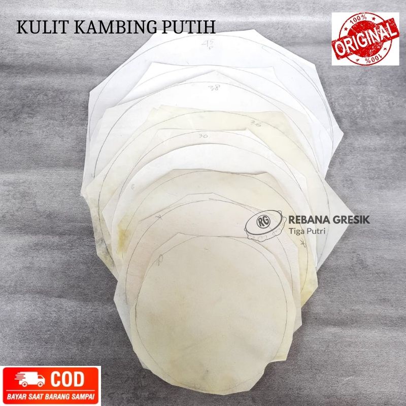 Kulit dut ketipung kendang kulit kambing buat Dut atau blem ukuran