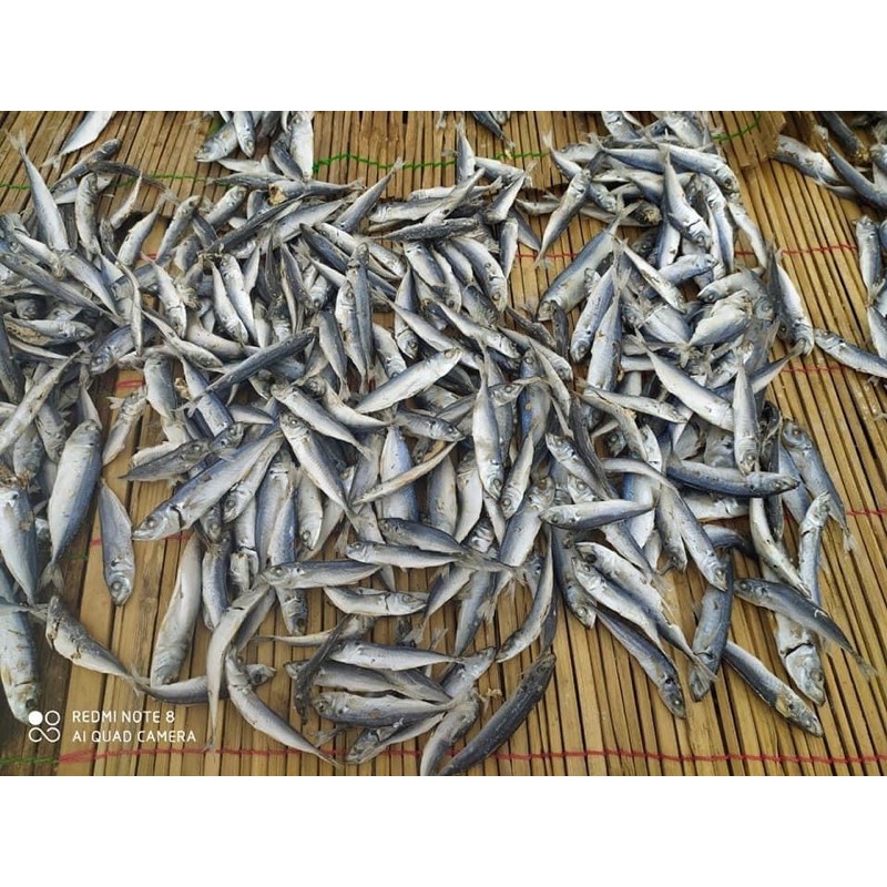 

layang rebus super 500gr