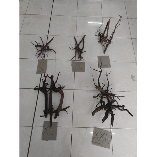 Kayu Aquascape Akar Rasamala Size S Dekorasi Hiasan untuk Aquarium 1pc