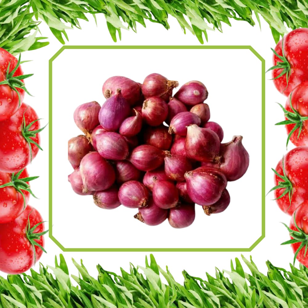 

bawang merah brebes jawa super jumbo sayuran segar fresh